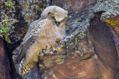 Photo contest entry #17