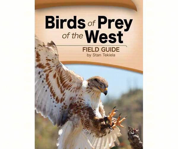 Birds of Prey of the West Field Guide