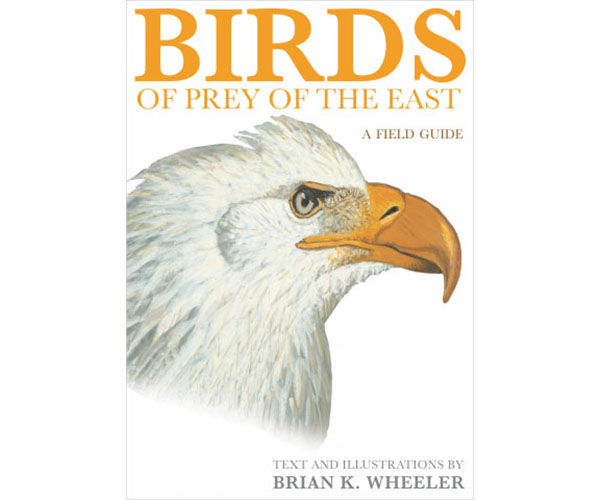 Birds of Prey of the East – A Field Guide