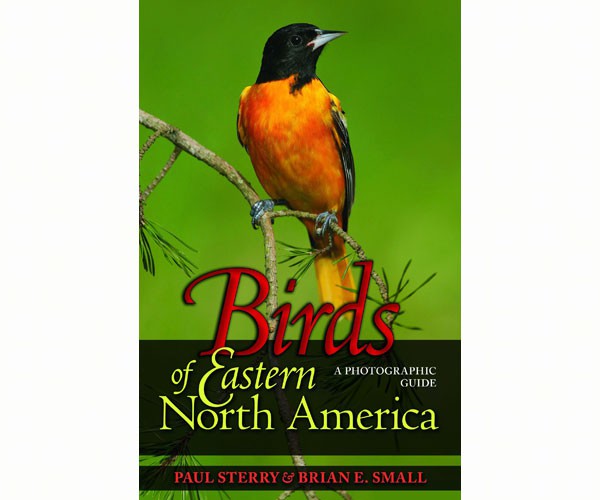Birds of Eastern North America – A Photographic Guide