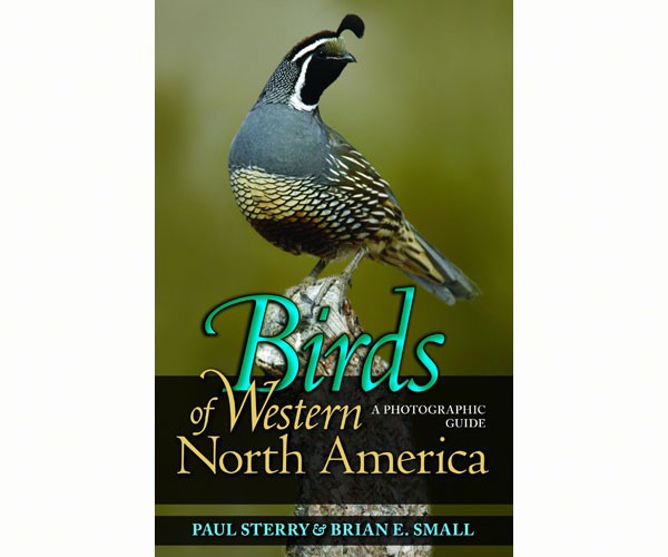 Birds of Western North America – A Photographic Guide