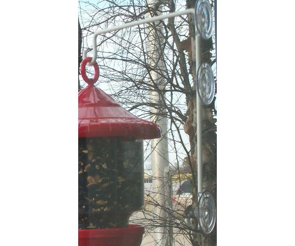 Window Suction Cup Hanger - Songbird Essentials