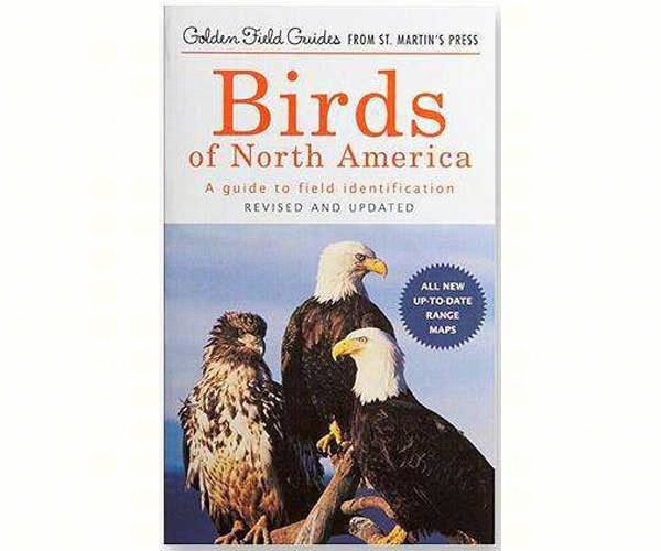 Golden Field Guides – Birds of North America
