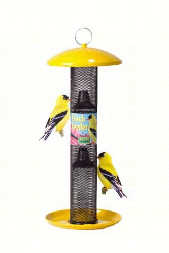 NO/NO Yellow Straight-sided Finch Feeder