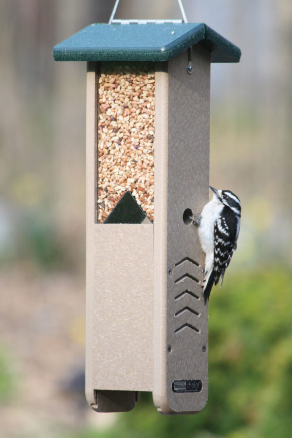 Recycled Woodpecker Feeder
